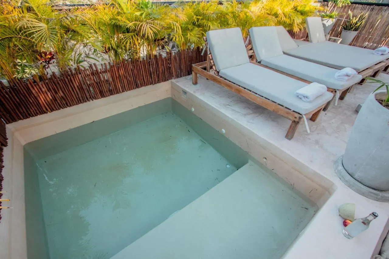 טולום Ph-4-Groups 3Br Priv-Rooftop 18Pax @Aldea Zama 0*,